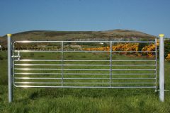 Galvanised D9 Sheep Gate